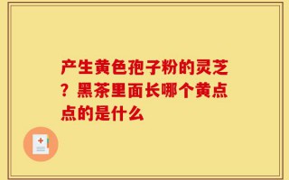 产生黄色孢子粉的灵芝？黑茶里面长哪个黄点点的是什么