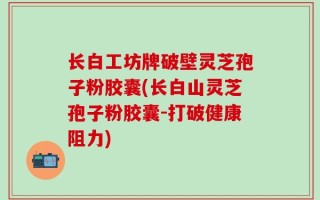 长白工坊牌破壁灵芝孢子粉胶囊(长白山灵芝孢子粉胶囊-打破健康阻力)
