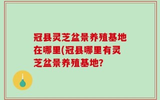 冠县灵芝盆景养殖基地在哪里(冠县哪里有灵芝盆景养殖基地？