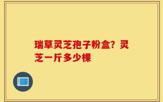 瑞草灵芝孢子粉盒？灵芝一斤多少棵
