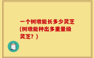 一个树墩能长多少灵芝(树墩能种出多重量级灵芝？)