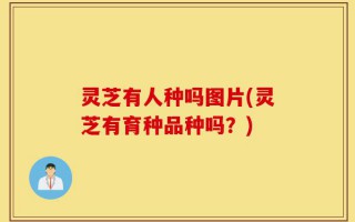 灵芝有人种吗图片(灵芝有育种品种吗？)