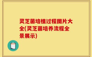 灵芝菌培植过程图片大全(灵芝菌培养流程全景展示)