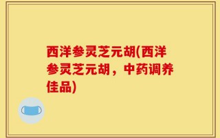 西洋参灵芝元胡(西洋参灵芝元胡，中药调养佳品)