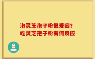 泡灵芝孢子粉很爱困？吃灵芝孢子粉有何反应