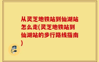 从灵芝地铁站到仙湖站怎么走(灵芝地铁站到仙湖站的步行路线指南)