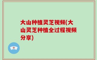 大山种植灵芝视频(大山灵芝种植全过程视频分享)