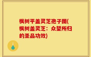 枫树平盖灵芝孢子图(枫树盖灵芝：众望所归的圣品功效)