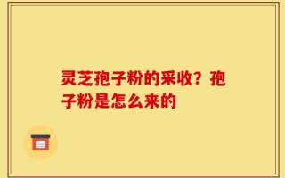 灵芝孢子粉的采收？孢子粉是怎么来的