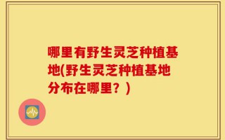 哪里有野生灵芝种植基地(野生灵芝种植基地分布在哪里？)