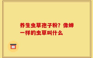 养生虫草孢子粉？像蝉一样的虫草叫什么