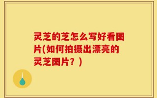 灵芝的芝怎么写好看图片(如何拍摄出漂亮的灵芝图片？)