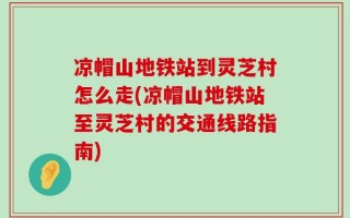 凉帽山地铁站到灵芝村怎么走(凉帽山地铁站至灵芝村的交通线路指南)