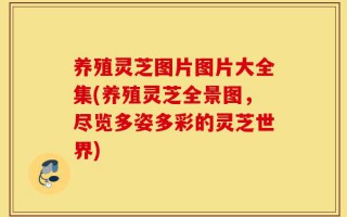 养殖灵芝图片图片大全集(养殖灵芝全景图，尽览多姿多彩的灵芝世界)