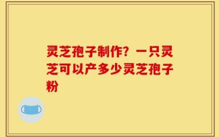 灵芝孢子制作？一只灵芝可以产多少灵芝孢子粉