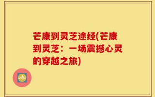 芒康到灵芝途经(芒康到灵芝：一场震撼心灵的穿越之旅)