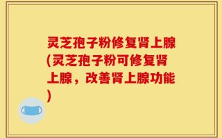 灵芝孢子粉修复肾上腺(灵芝孢子粉可修复肾上腺，改善肾上腺功能)
