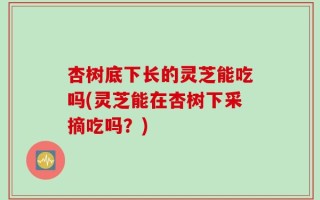 杏树底下长的灵芝能吃吗(灵芝能在杏树下采摘吃吗？)