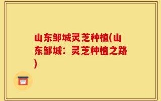 山东邹城灵芝种植(山东邹城：灵芝种植之路)