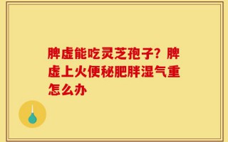脾虚能吃灵芝孢子？脾虚上火便秘肥胖湿气重怎么办