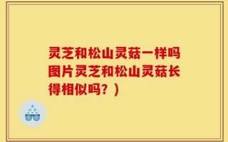 灵芝和松山灵菇一样吗图片灵芝和松山灵菇长得相似吗？)