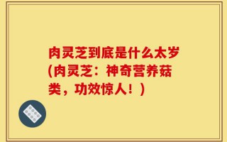 肉灵芝到底是什么太岁(肉灵芝：神奇营养菇类，功效惊人！)