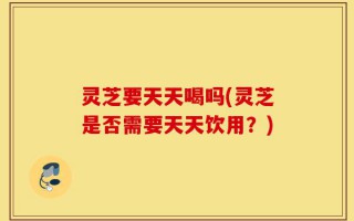 灵芝要天天喝吗(灵芝是否需要天天饮用？)