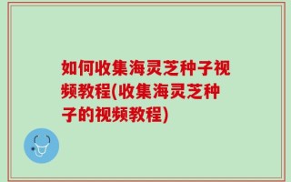如何收集海灵芝种子视频教程(收集海灵芝种子的视频教程)