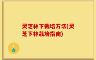 灵芝林下栽培方法(灵芝下林栽培指南)