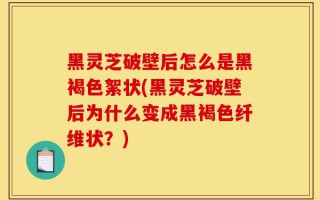 黑灵芝破壁后怎么是黑褐色絮状(黑灵芝破壁后为什么变成黑褐色纤维状？)
