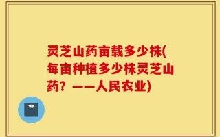 灵芝山药亩载多少株(每亩种植多少株灵芝山药？——人民农业)