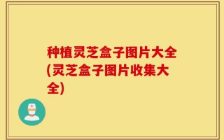 种植灵芝盒子图片大全(灵芝盒子图片收集大全)