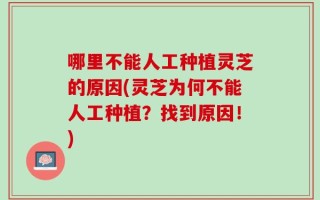 哪里不能人工种植灵芝的原因(灵芝为何不能人工种植？找到原因！)