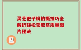 灵芝孢子粉拍摄技巧全解析轻松获取高质量图片秘诀