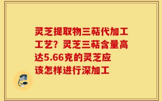 灵芝提取物三萜代加工工艺？灵芝三萜含量高达5.66克的灵芝应该怎样进行深加工