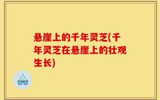 悬崖上的千年灵芝(千年灵芝在悬崖上的壮观生长)