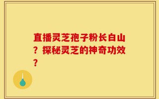 直播灵芝孢子粉长白山？探秘灵芝的神奇功效？