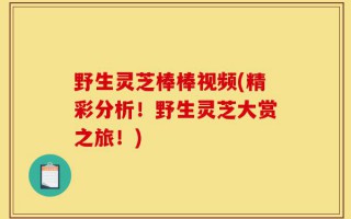 野生灵芝棒棒视频(精彩分析！野生灵芝大赏之旅！)