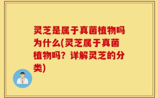 灵芝是属于真菌植物吗为什么(灵芝属于真菌植物吗？详解灵芝的分类)