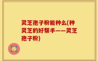 灵芝孢子粉能种么(种灵芝的好帮手——灵芝孢子粉)