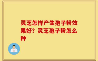 灵芝怎样产生孢子粉效果好？灵芝孢子粉怎么种