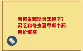 青海省破壁灵芝孢子？灵芝和冬虫夏草哪个药用价值高