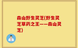 森山野生灵芝(野生灵芝草药之王——森山灵芝)