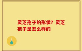 灵芝孢子的形状？灵芝孢子是怎么样的
