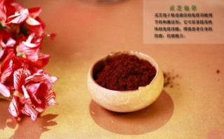 女性经期 灵芝孢子粉怎么吃？