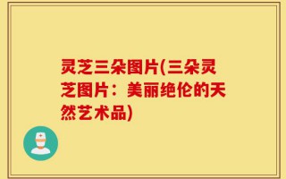 灵芝三朵图片(三朵灵芝图片：美丽绝伦的天然艺术品)