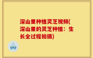 深山里种植灵芝视频(深山里的灵芝种植：生长全过程拍摄)