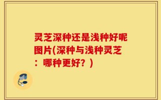 灵芝深种还是浅种好呢图片(深种与浅种灵芝：哪种更好？)