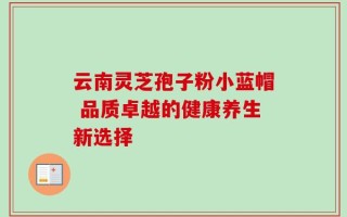 云南灵芝孢子粉小蓝帽 品质卓越的健康养生新选择