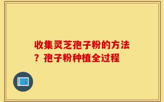 收集灵芝孢子粉的方法？孢子粉种植全过程